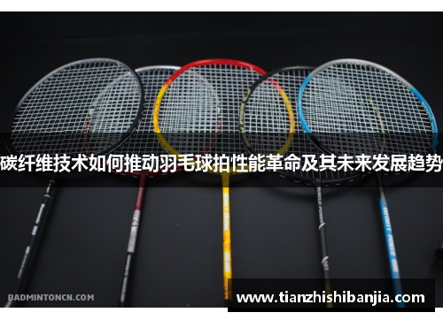 碳纤维技术如何推动羽毛球拍性能革命及其未来发展趋势
