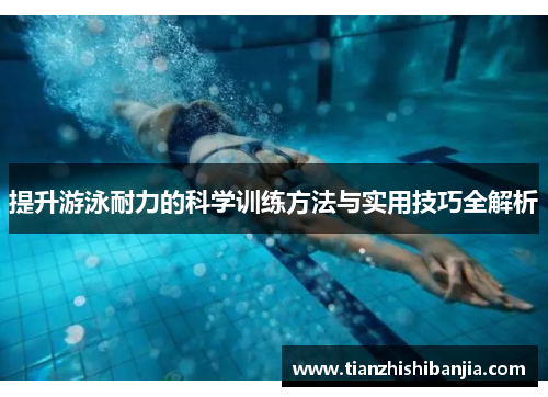 提升游泳耐力的科学训练方法与实用技巧全解析