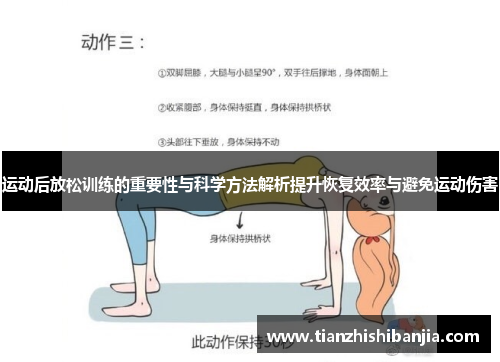运动后放松训练的重要性与科学方法解析提升恢复效率与避免运动伤害