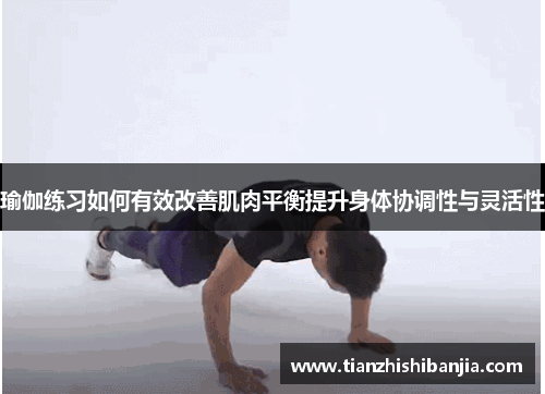 瑜伽练习如何有效改善肌肉平衡提升身体协调性与灵活性