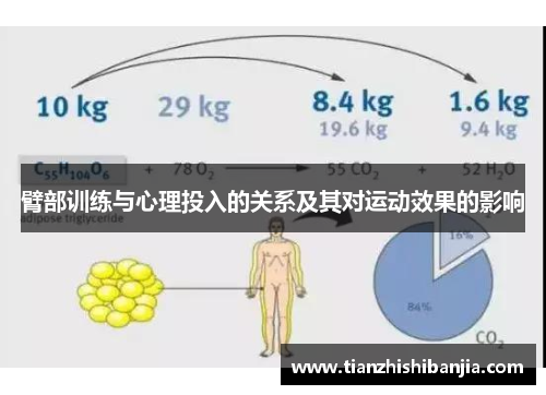 臂部训练与心理投入的关系及其对运动效果的影响