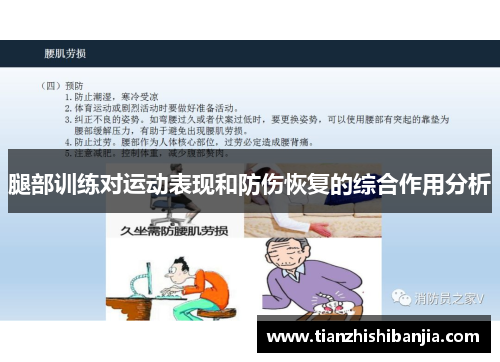 腿部训练对运动表现和防伤恢复的综合作用分析