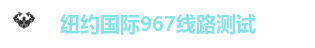 纽约国际967线路测试